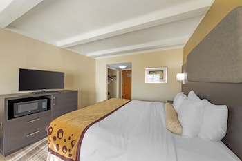 Standard Room, 1 King Bed, Non Smoking, Refrigerator & Microwave