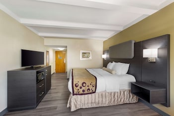 Standard Room, 1 King Bed, Accessible, Refrigerator & Microwave