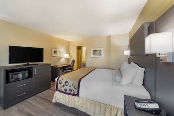 Standard Room, 1 King Bed, Non Smoking, Refrigerator & Microwave, Exterior Access