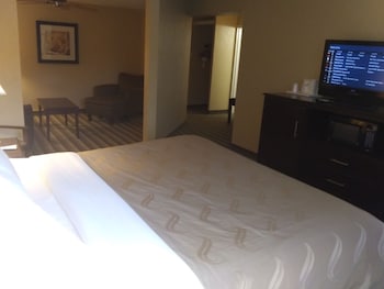 Suite, 1 King Bed with Sofa bed, Non Smoking