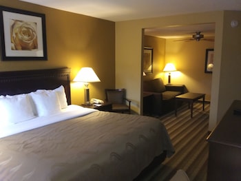 Suite, 1 King Bed with Sofa bed, Non Smoking