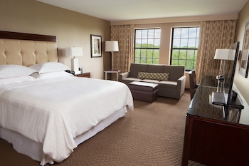 Executive Room, 1 King Bed, Non Smoking