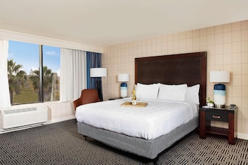 Deluxe Room, 1 King Bed, Non Smoking, Refrigerator & Microwave