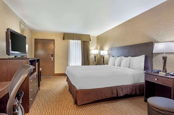 Standard Room, 1 King Bed, Non Smoking, Refrigerator & Microwave