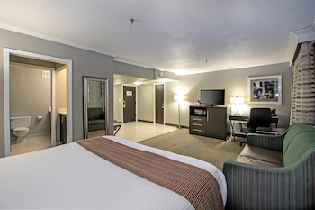 Suite, 1 King Bed, Non Smoking, Refrigerator & Microwave (Larger Room;with Sofabed)