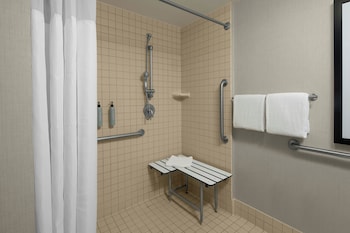 Studio, 1 Queen Bed with Sofa bed