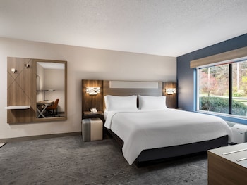 Standard Room, 1 King Bed (Extra Floor Space)