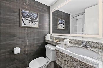 Room, 1 King Bed