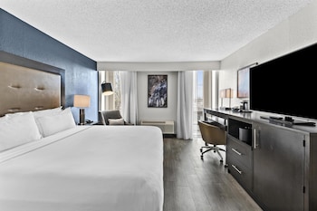 Room, 1 King Bed, Accessible (Roll-In Shower)