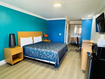 Room, 1 King Bed