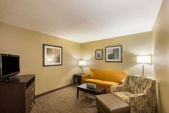 Room, 1 King Bed, Accessible, Non Smoking