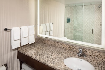 Junior Suite, 1 King Bed, Mobility Accessible (Roll In Shower)