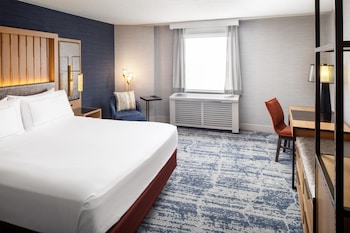 Room, 1 King Bed