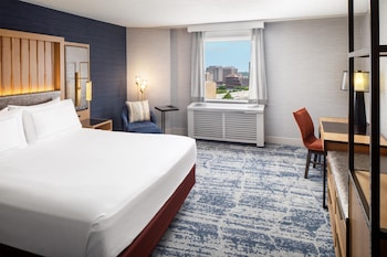 Room, 1 King Bed