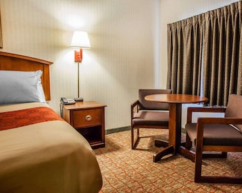 Standard Room, 2 Double Beds, Non Smoking