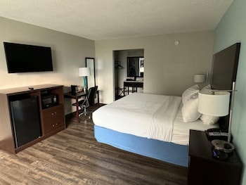 Room, 1 King Bed, Non Smoking