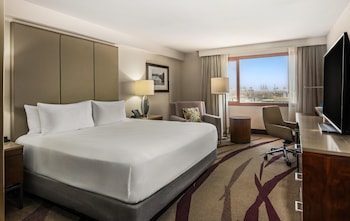 Room, 1 King Bed