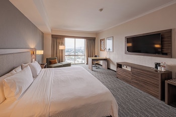 Premium Room, 1 King Bed (Bath Shower Combination)