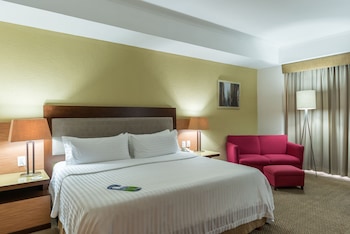 Premium Room, 1 King Bed (Walk-In Shower)
