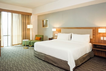 Premium Room, 1 King Bed (Bath Shower Combination)