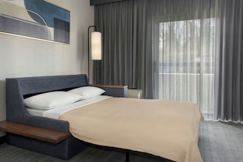 Suite, 1 King Bed with Sofa bed (Mobility/Hearing Accessible, Tub)