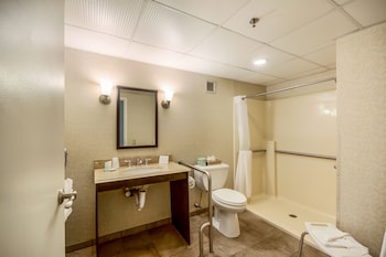 Standard Single Room, 1 King Bed, Accessible, Non Smoking