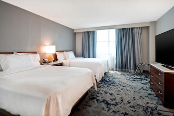 Standard Suite One King and One Sofa Bed Non-Smoking