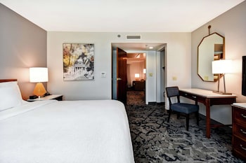 Standard Suite One King and One Sofa Bed Non-Smoking