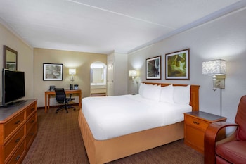 Room, 1 King Bed