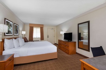 Suite, 1 King Bed with Sofa Bed
