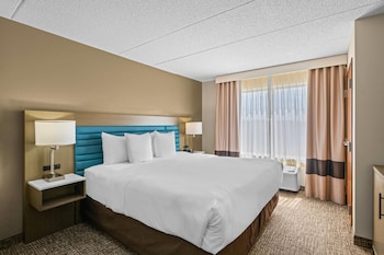 Suite, 1 King Bed with Sofa bed, Non Smoking