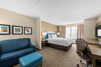Suite, 1 King Bed with Sofa bed, Non Smoking
