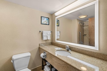 Suite, 1 King Bed with Sofa bed, Non Smoking
