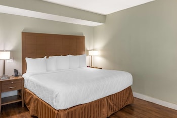 Standard Room, 1 King Bed, Non Smoking, Refrigerator & Microwave