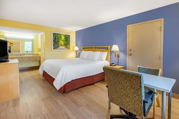 Room, 1 King Bed, Non Smoking