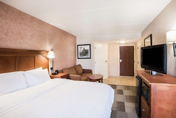 1 King Bed, Accessible, Non Smoking