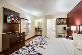 Deluxe Room, 1 King Bed, Accessible, Non Smoking (Roll-In Shower)