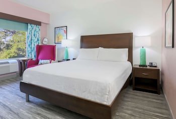 Room, 1 King Bed