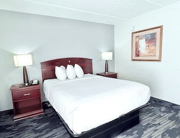 Room, 1 Queen Bed, Non Smoking