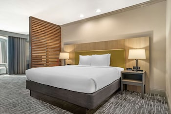 Studio Suite, 1 King Bed with Sofa bed, Non Smoking
