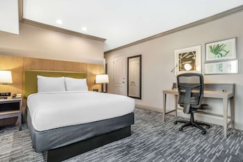 Room, 1 Queen Bed, Non Smoking