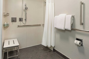 Room, 1 King Bed with Sofa bed (Mobility/Hearing Access, Roll-In Shwr)