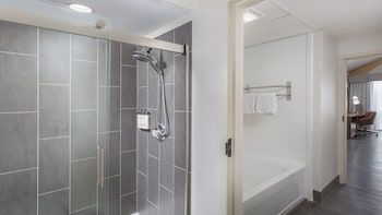 Suite, 1 Bedroom (Wet Bar)
