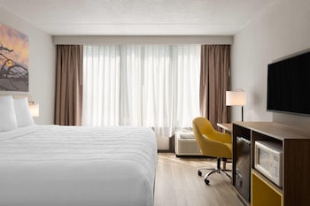 Room, 1 King Bed, Mobility Accessible, Non Smoking (Roll-in Shower)