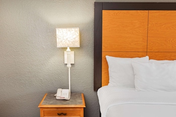 Room, 1 King Bed, Non Smoking, Bathtub (Mobility/Hearing Accessible)