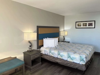 Deluxe Room, 1 King Bed, Smoking, Refrigerator & Microwave
