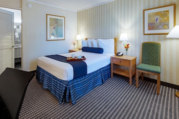 Room, 1 Queen Bed, Non Smoking