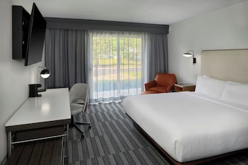 Room, 1 King Bed with Sofa bed, Hearing Accessible (Accessible Bathtub)
