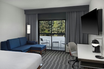 Room, 1 King Bed with Sofa bed, Hearing Accessible