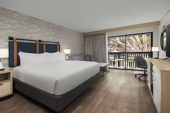 Room, 1 King Bed, Courtyard View